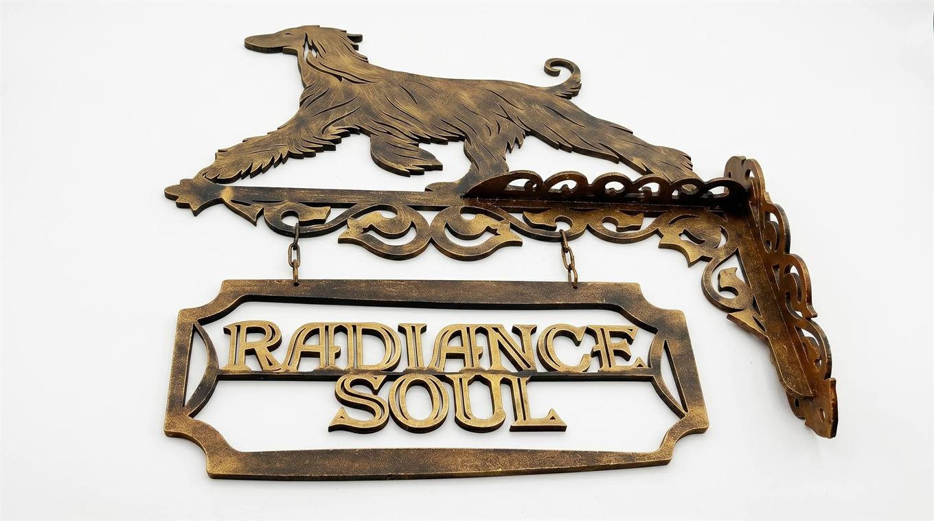 Кронштейн Radiance Soul в ракурсе